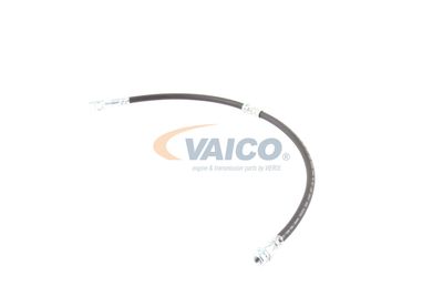 FURTUN FRANA VAICO V103077 19