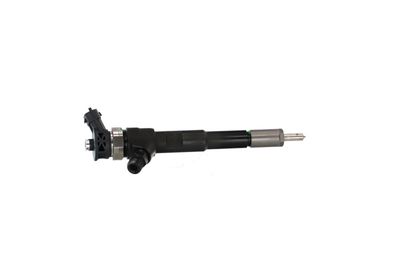 INJECTOR REMANTE 002003001494R 43