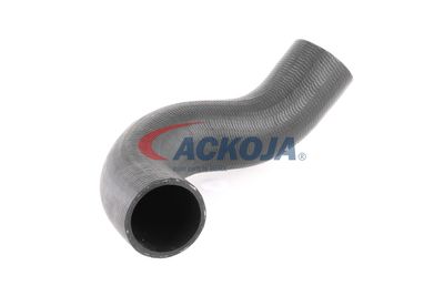 FURTUN EAR SUPRAALIMENTARE ACKOJA A380298 52
