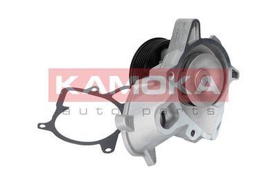 Water Pump, engine cooling T0052