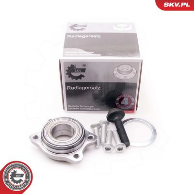 SET RULMENT ROATA ESEN SKV 29SKV029 2