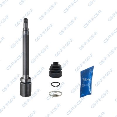 SET ARTICULATIE PLANETARA GSP 603394