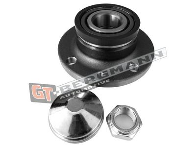 GT-BERGMANN Automotive Rato guolio komplektas