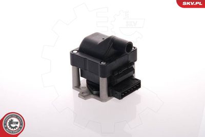 Ignition Coil 03SKV006