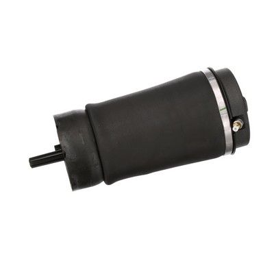 LUFTFEDER FAHRWERK Arnott A2831 75