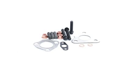 SET MONTAJ TURBOCOMPRESOR BTS Turbo T931191ABS 36