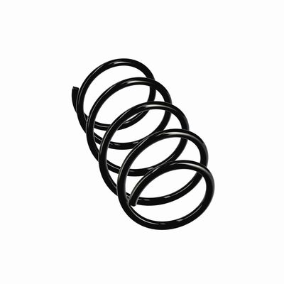 ARC SPIRAL EIBACH R11070 12