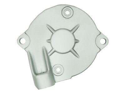 AS-PL Starterdeckel, Vergaser