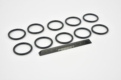 GARNITURA FLANSA LICHID RACIRE FEBEST RINGWH018PCS10 49