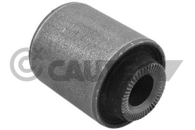 Подвеска, рычаг независимой подвески колеса CAUTEX 760397 для CHEVROLET EVANDA
