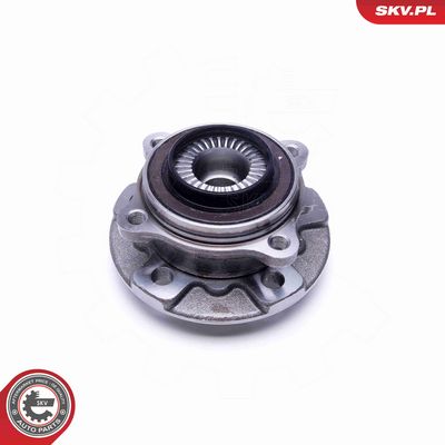 SET RULMENT ROATA ESEN SKV 29SKV366 1