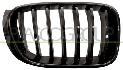 PRASCO BM8072003 Решетка радиатора  для BMW X3 (Бмв X3)