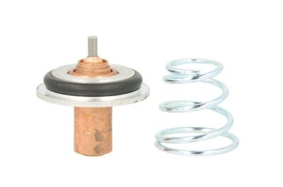 TERMOSTAT LICHID RACIRE