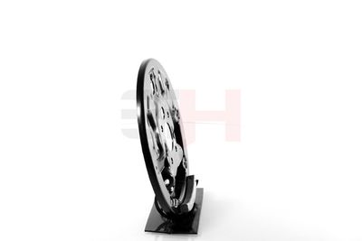 PROTECTIE STROPIRE DISC FRANA GH GH484325H 17