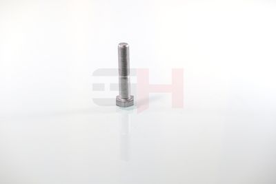 SURUB CAPAT DE AX GH GH392360 6