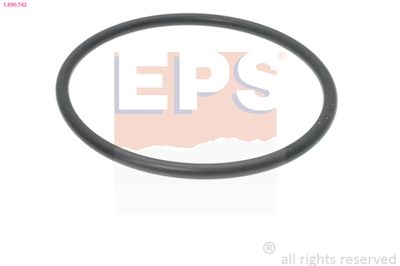EPS Прокладка, термостат