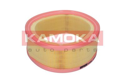 Air Filter F235501