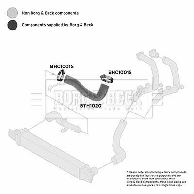 Charge Air Hose Borg & Beck BTH1020