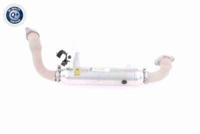 RADIATOR RECIRCULARE GAZE DE ESAPAMENT VEMO V24630020 5