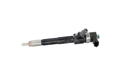 INJECTOR REMANTE 002003002244R 10