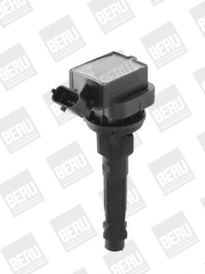 BOBINA DE INDUCTIE BorgWarner (BERU) ZS449 2