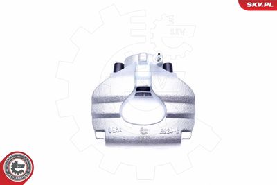 Brake Caliper 45SKV311