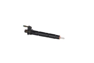 INJECTOR REMANTE 002003002194R 49