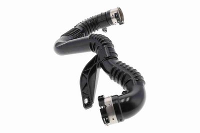 FURTUN EAR SUPRAALIMENTARE ACKOJA A380687 5