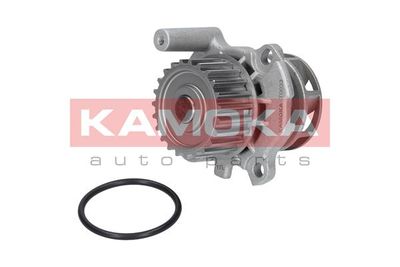 Water Pump, engine cooling T0033