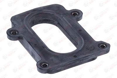 FLANSA CARBURATOR BIRTH 9100 6