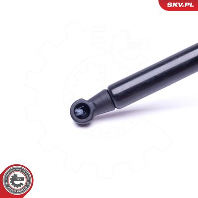 Dujinė spyruoklė, gaubtas