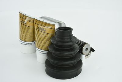 SET ARTICULATIE PLANETARA FEBEST 1011CAPLH 34