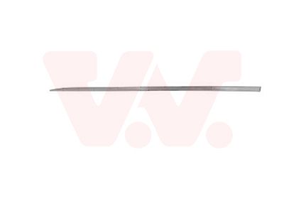 Ozdobná / ochranná lišta, dveře VAN WEZEL 4420403