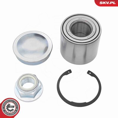 SET RULMENT ROATA ESEN SKV 85SKV028