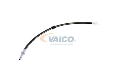 FURTUN FRANA VAICO V300547 54