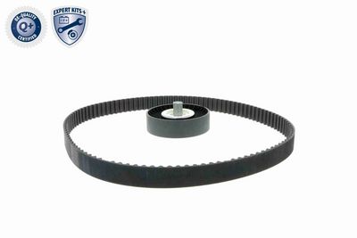 SET CUREA TRANSMISIE CU CANELURI ACKOJA A530202 3