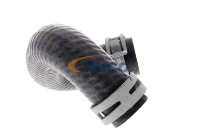 KüHLERSCHLAUCH VAICO V301096 51