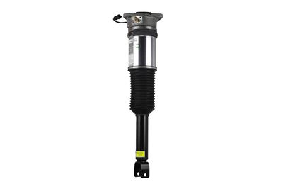 LUFTFEDERBEIN Arnott AS2958 24