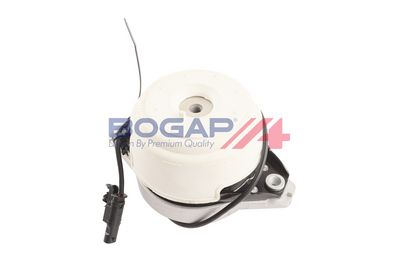 BOGAP Variklio montavimas