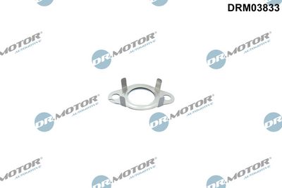 Dr.Motor Automotive Tarpiklis, EGR vožtuvo vamzdelis