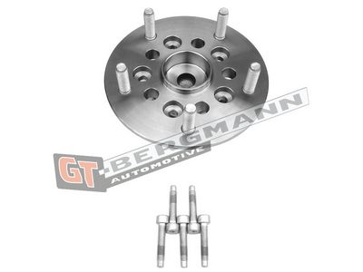 GT-BERGMANN Automotive Rato guolio komplektas