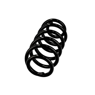 ARC SPIRAL EIBACH R10137 2