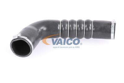 FURTUN EAR SUPRAALIMENTARE VAICO V103794 12