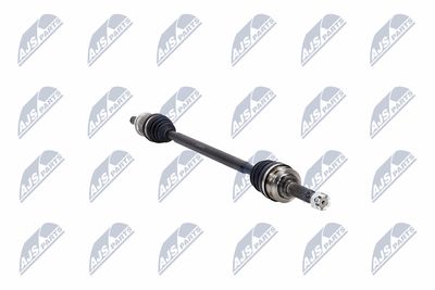 PLANETARA NTY NPWCH094 13