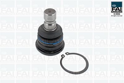 Шарнири FAI AutoParts FPBJ0247