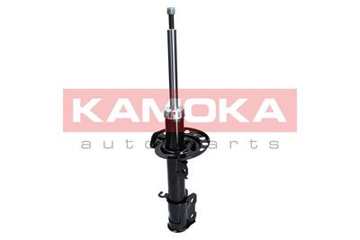 Shock Absorber 2000242