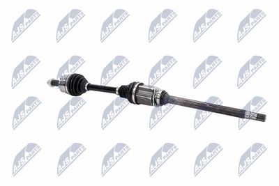 PLANETARA NTY NPWCH040 28