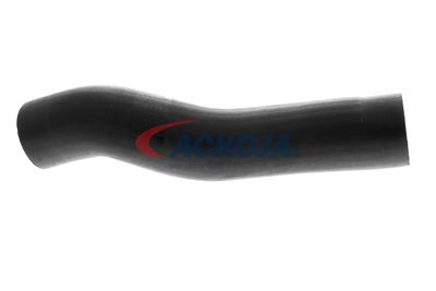 FURTUN EAR SUPRAALIMENTARE ACKOJA A529600 36