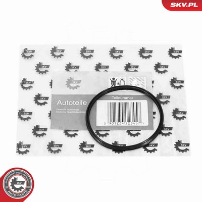 INEL ETANSARE FURTUN AER SUPRAALIMENTARE