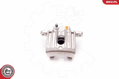 Brake Caliper 34SKV393